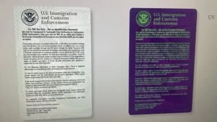 ‘Enough’: Controversial ID program for illegal immigrants targeted by GOP senator