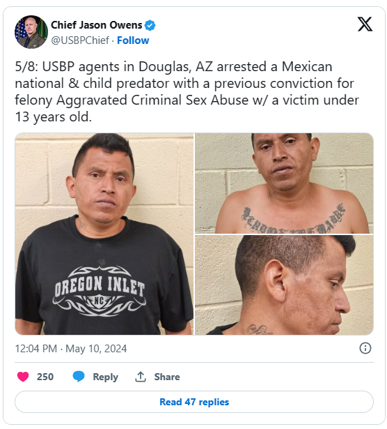 ‘Child predator’: Illegal immigrant with past sex conviction captured in border state