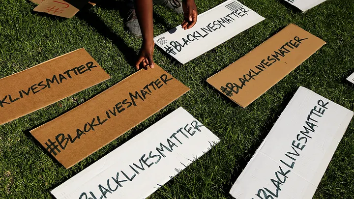 Black Lives Matter says Dems are ‘party of hypocrites’ for ‘installing’ Harris sans ‘public voting process’ – white people agree