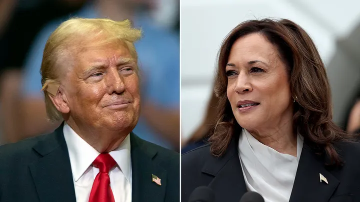 White House fires back after Trump answers question about Harris being called a ‘DEI hire’