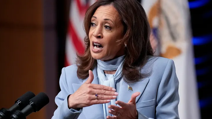 Harris serves up word salad in DC speech: ‘The children of the community are the children of the community’