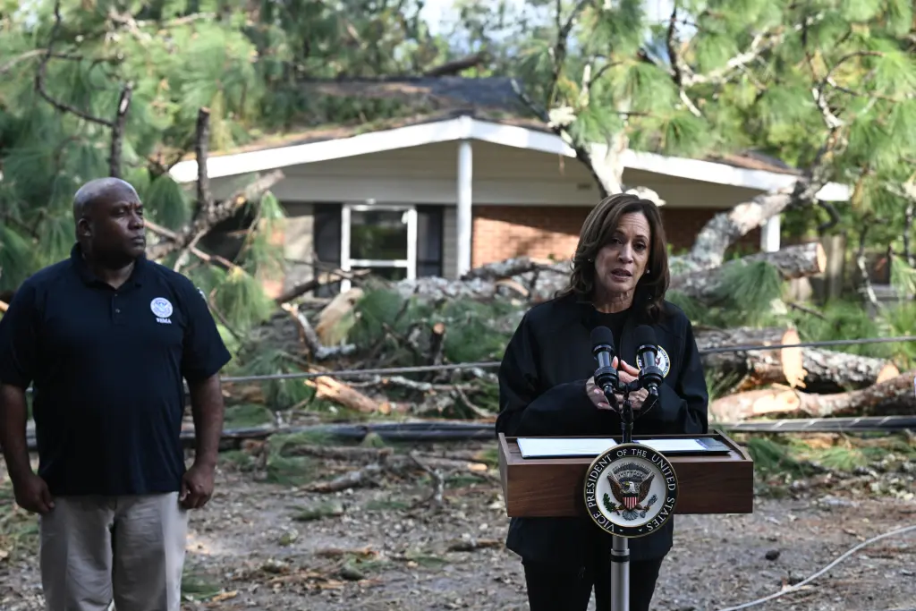 Hurricane Helene victims in NC are fending for themselves as response from Biden-Harris’ FEMA underwhelms